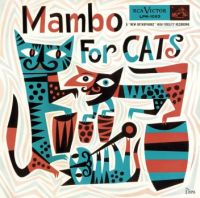 Mambo For Cats