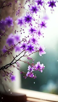 Lovely Purple Flower