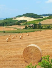 Sala Monferrato (AL), Italy