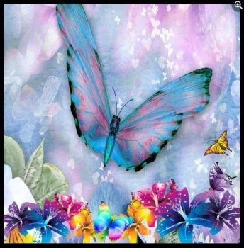 ~Butterflies~