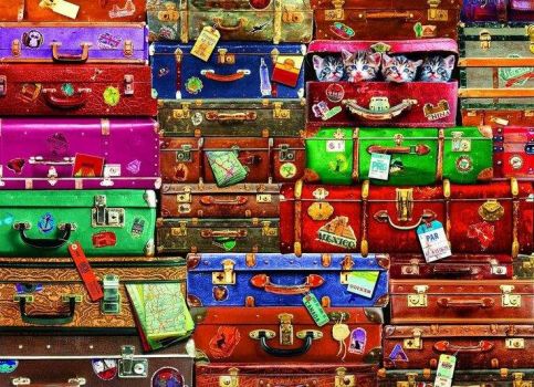 Vintage Suitcases (695)