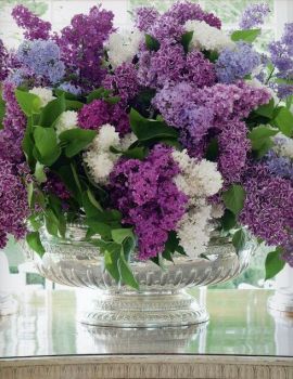 Solve Happy Birthday Lovely Lady Lilacs For Denise Jigsaw Puzzle