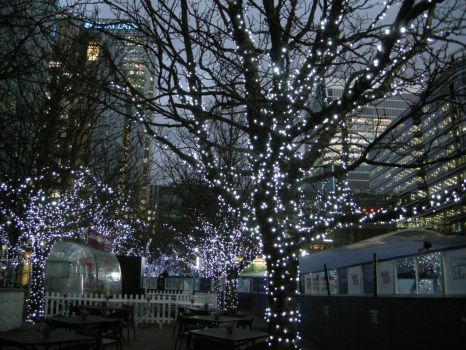 Trees in Canada Square Park