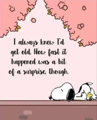 Isn't it the truth?