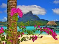 Bora Bora Landscape