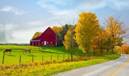 Solve Autumn Country Scene jigsaw puzzle online with 252 pieces