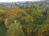 Podzimní barvy v přírodě...  Fall colors in nature...