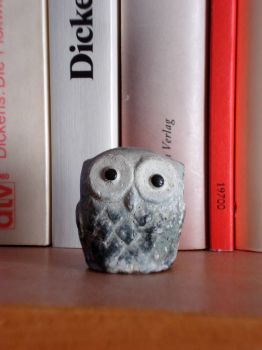 objects in bookshelves: owl
