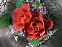 Charm of roses