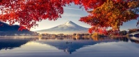 Landscape-Color