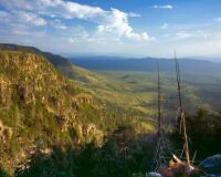 MOGOLLONRIM_AZ17