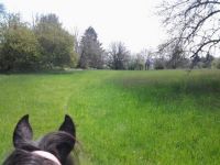 Sauvie Island as seen from my saddle.