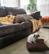 Just Chillin’