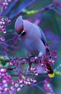 FB_IMG_1654086251682