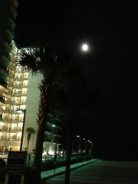 Shelly's Myrtle Beach Moon