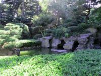 The Botanic Garden