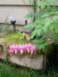 Cottage withBLeeding Hearts