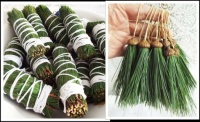 Pine Smudge Sticks & Décor