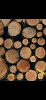 Pacific Northwest Logs
