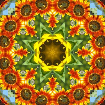 Pattern - Sunflowers