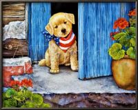 Patriotic Puppy