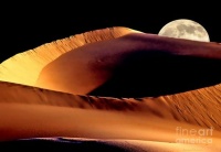 sand-dune-moon-barbara-d-richards