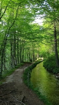 river path