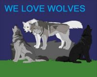 WE LOVE WOLVES Picture