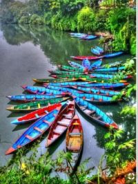 Colored canoes