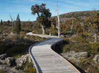 Pencil Pine Walk, Pine Lake, Western Tiers, Tasmania, Mar. 2015