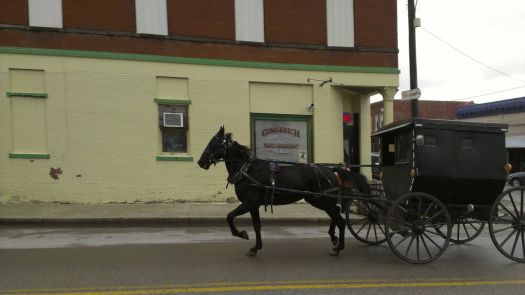 Solve Amish horse and buggy jigsaw puzzle online with 112 pieces
