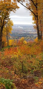 Fall from Rib Mountain, Wisconsin