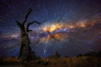 Star Trails 48