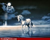 Fantasy-Unicorn-