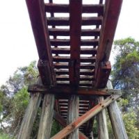 Dorrigo to Glenreagh Railbridge