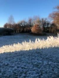Frost Crystals on Clothesline