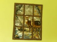 Deer at cabin window on a rainy day