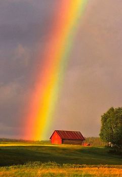 Red Barn After The Storm....
