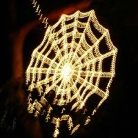 Zoo Lights 2