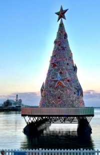 a floating Christmas tree?