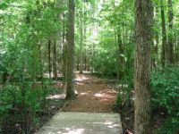 At the Raptor Center, North Carolina