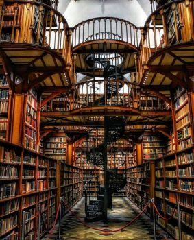 Solve german library jigsaw puzzle online with 320 pieces