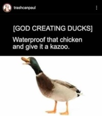 God creating ducks (3 of 3)
