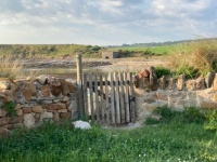 Gate to the Beach
