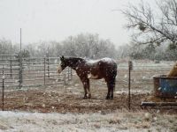 West Texas Snowstorm