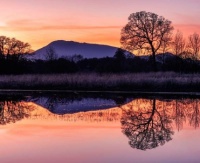 Mary's Peak Sunset
