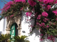Bougainvillea in the back streets of Lindos, Rhodes