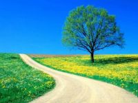 spring road