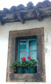 Window in blue
