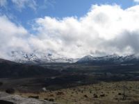 Mount St. Helens and tree damage from eruption